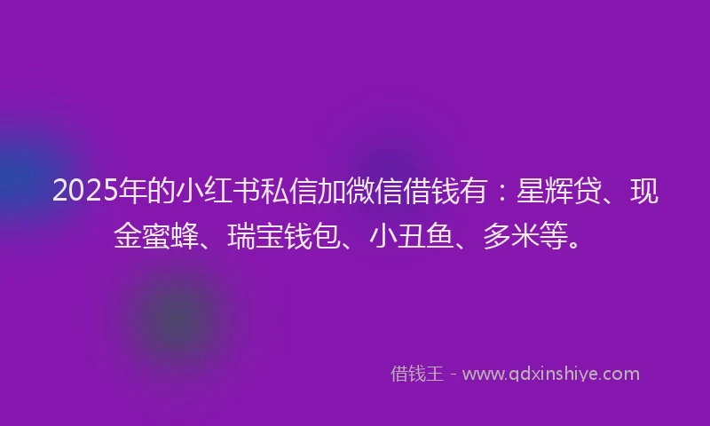 2025年的小红书私信加微信借钱有：星辉贷、现金蜜蜂、瑞宝钱包、小丑鱼、多米等。