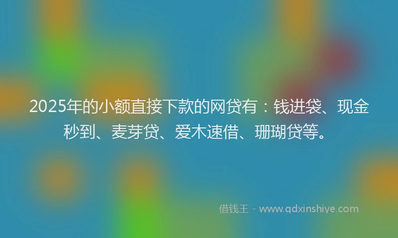 2025年的小额直接下款的网贷有：钱进袋、现金秒到、麦芽贷、爱木速借、珊瑚贷等。