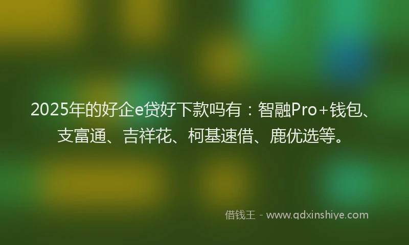 2025年的好企e贷好下款吗有：智融Pro+钱包、支富通、吉祥花、柯基速借、鹿优选等。