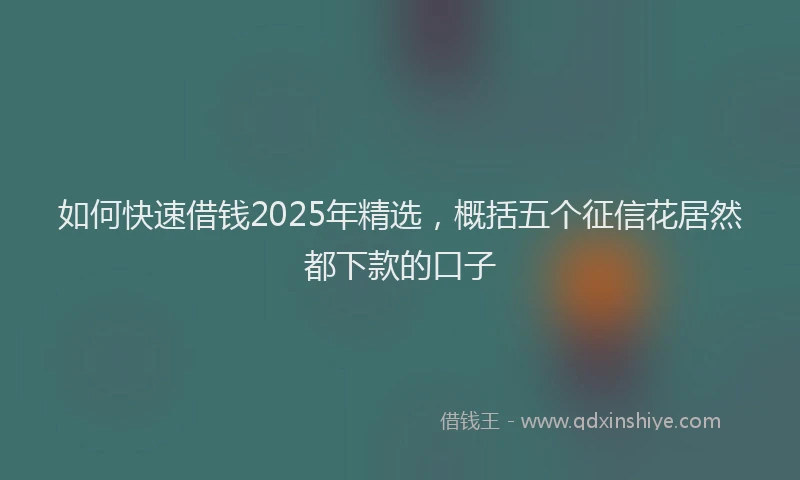 如何快速借钱2025年精选，概括五个征信花居然都下款的口子
