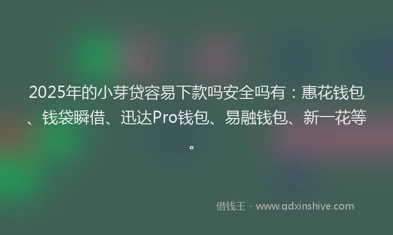 2025年的小芽贷容易下款吗安全吗有：惠花钱包、钱袋瞬借、迅达Pro钱包、易融钱包、新一花等。