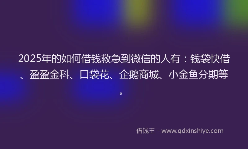 2025年的如何借钱救急到微信的人有：钱袋快借、盈盈金科、口袋花、企鹅商城、小金鱼分期等。