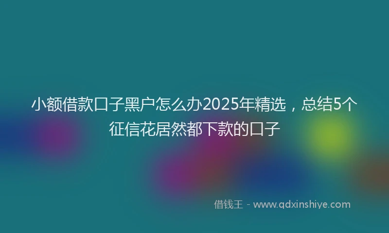 小额借款口子黑户怎么办2025年精选，总结5个征信花居然都下款的口子