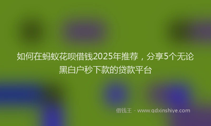 如何在蚂蚁花呗借钱2025年推荐，分享5个无论黑白户秒下款的贷款平台