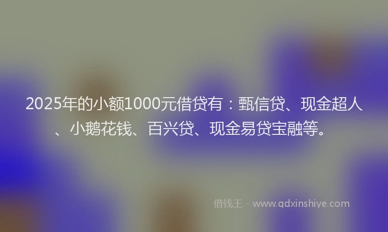 2025年的小额1000元借贷有：甄信贷、现金超人、小鹅花钱、百兴贷、现金易贷宝融等。
