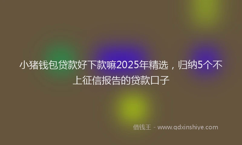 小猪钱包贷款好下款嘛2025年精选，归纳5个不上征信报告的贷款口子