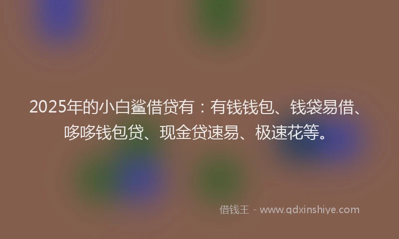 2025年的小白鲨借贷有：有钱钱包、钱袋易借、哆哆钱包贷、现金贷速易、极速花等。