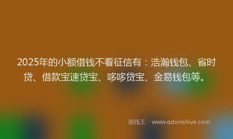 2025年的小额借钱不看征信有：浩瀚钱包、省时贷、借款宝速贷宝、哆哆贷宝、金易钱包等。