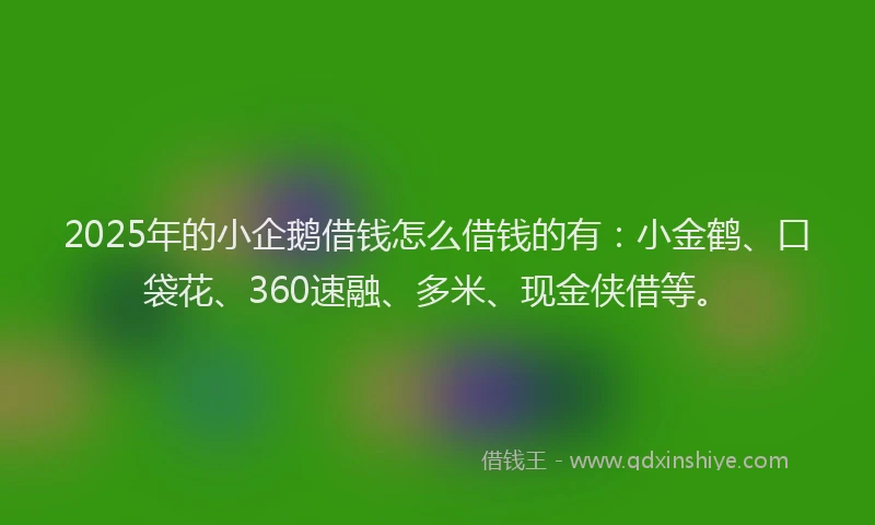 2025年的小企鹅借钱怎么借钱的有：小金鹤、口袋花、360速融、多米、现金侠借等。
