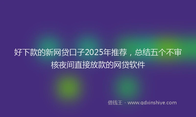 好下款的新网贷口子2025年推荐，总结五个不审核夜间直接放款的网贷软件