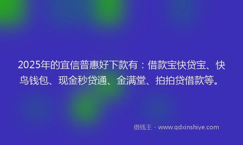 2025年的宜信普惠好下款有：借款宝快贷宝、快鸟钱包、现金秒贷通、金满堂、拍拍贷借款等。