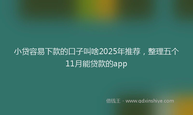 小贷容易下款的口子叫啥2025年推荐，整理五个11月能贷款的app