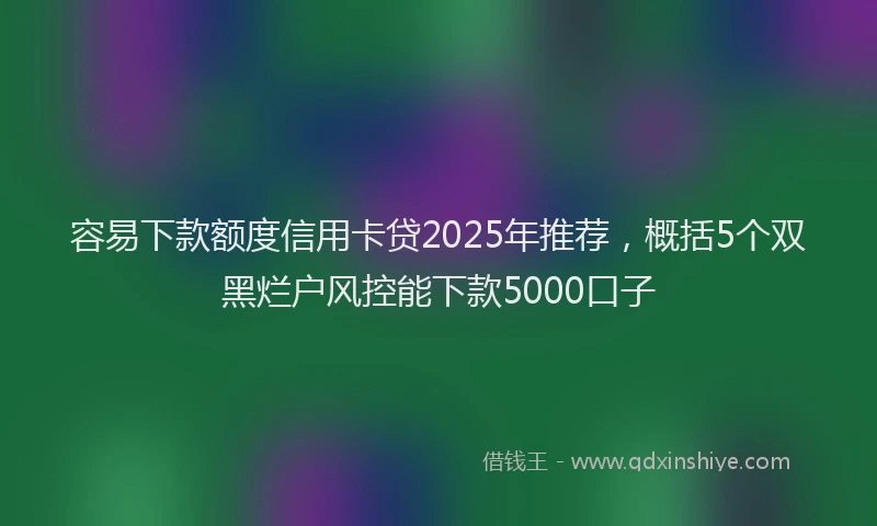 容易下款额度信用卡贷2025年推荐，概括5个双黑烂户风控能下款5000口子