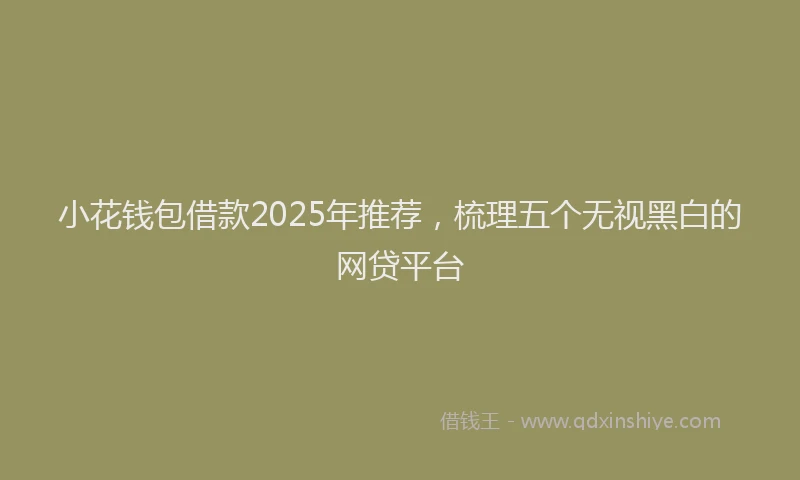 小花钱包借款2025年推荐，梳理五个无视黑白的网贷平台