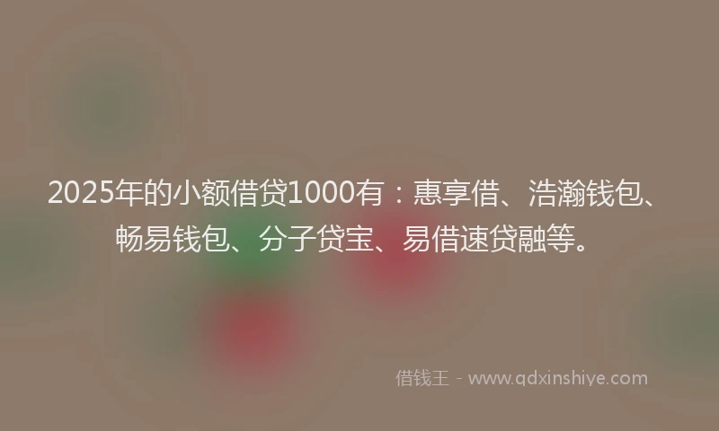 2025年的小额借贷1000有：惠享借、浩瀚钱包、畅易钱包、分子贷宝、易借速贷融等。