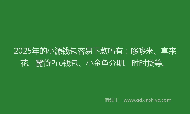 2025年的小源钱包容易下款吗有：哆哆米、享来花、翼贷Pro钱包、小金鱼分期、时时贷等。
