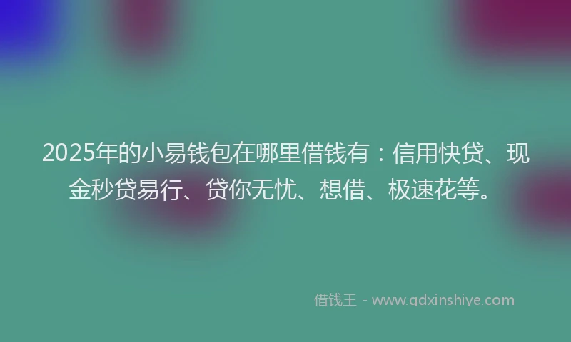 2025年的小易钱包在哪里借钱有：信用快贷、现金秒贷易行、贷你无忧、想借、极速花等。