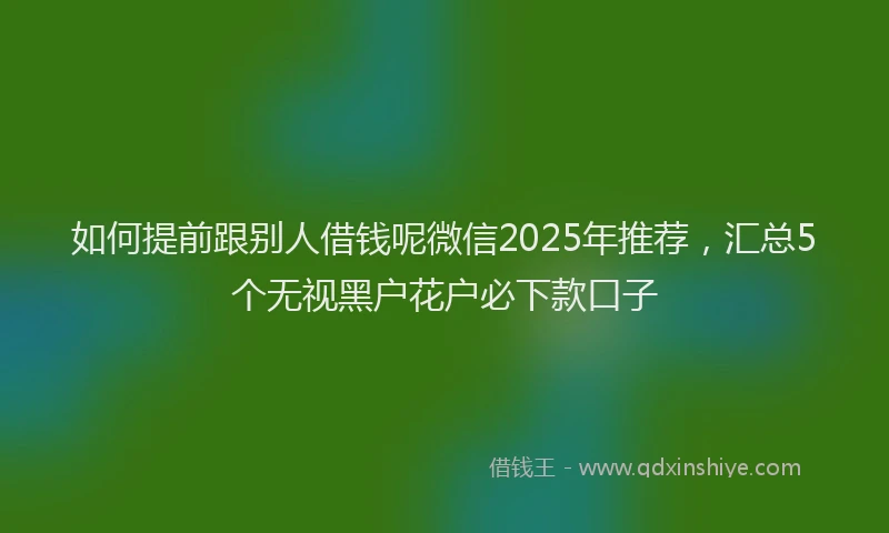 如何提前跟别人借钱呢微信2025年推荐，汇总5个无视黑户花户必下款口子