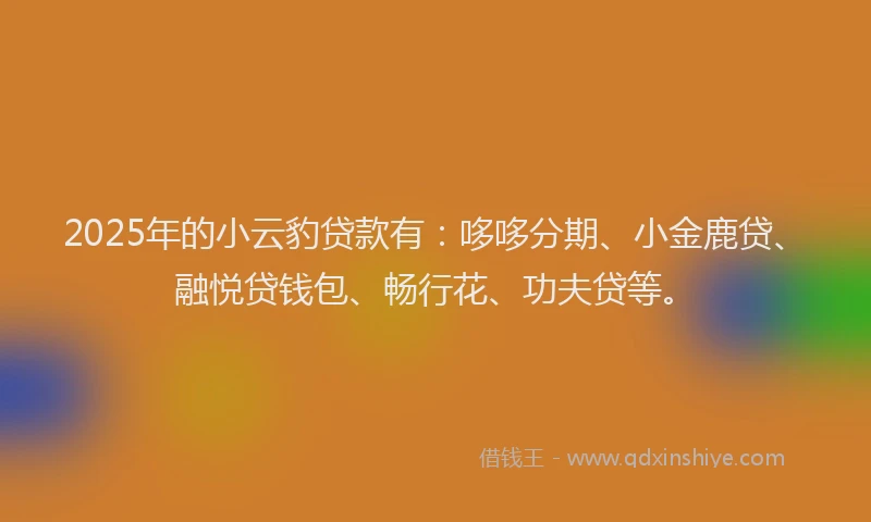 2025年的小云豹贷款有：哆哆分期、小金鹿贷、融悦贷钱包、畅行花、功夫贷等。