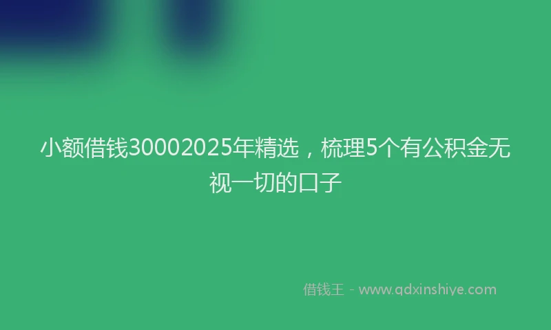 小额借钱30002025年精选，梳理5个有公积金无视一切的口子