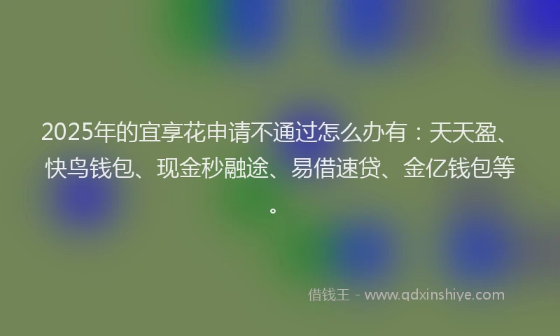 2025年的宜享花申请不通过怎么办有：天天盈、快鸟钱包、现金秒融途、易借速贷、金亿钱包等。