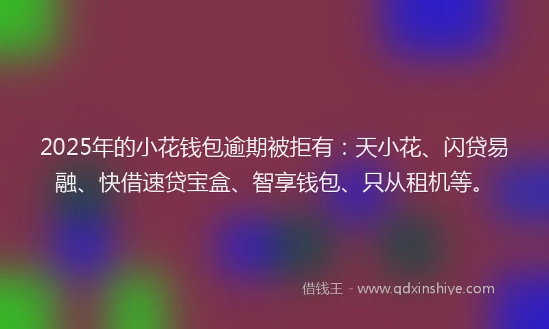 2025年的小花钱包逾期被拒有：天小花、闪贷易融、快借速贷宝盒、智享钱包、只从租机等。
