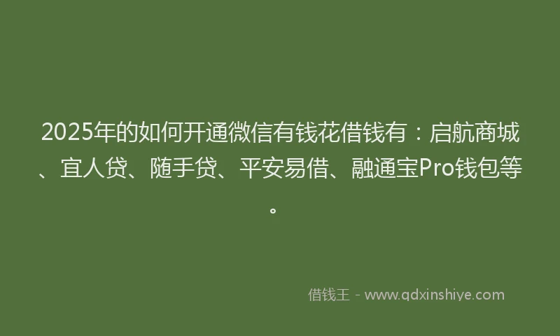 2025年的如何开通微信有钱花借钱有：启航商城、宜人贷、随手贷、平安易借、融通宝Pro钱包等。