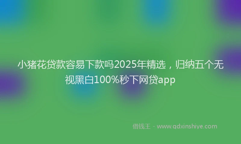 小猪花贷款容易下款吗2025年精选,归纳五个无视黑白100%秒下网贷app
