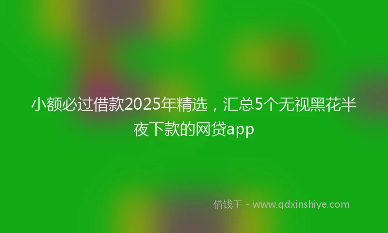 小额必过借款2025年精选，汇总5个无视黑花半夜下款的网贷app