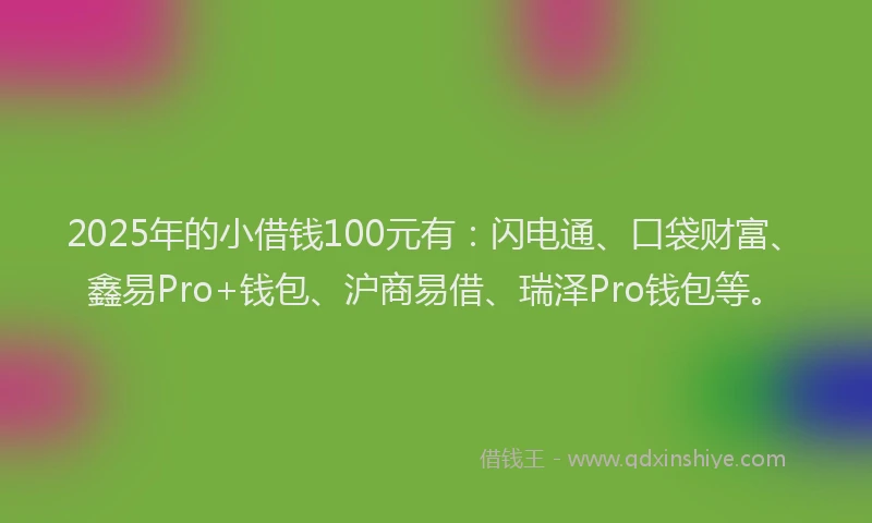 2025年的小借钱100元有：闪电通、口袋财富、鑫易Pro+钱包、沪商易借、瑞泽Pro钱包等。