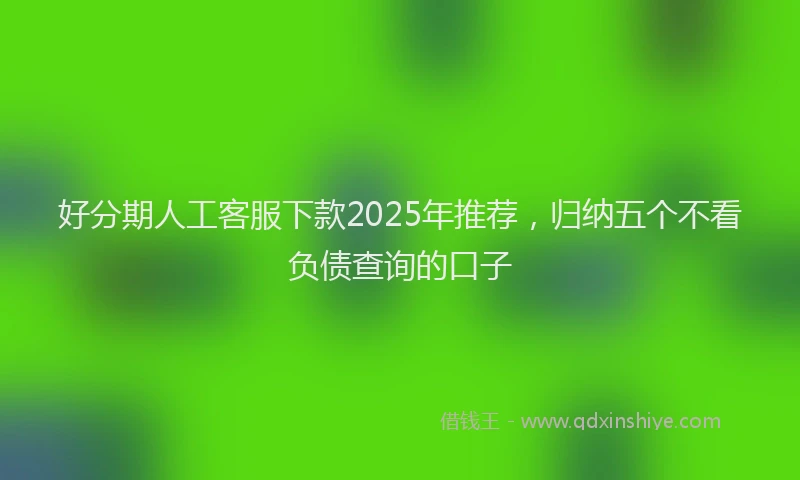 好分期人工客服下款2025年推荐，归纳五个不看负债查询的口子