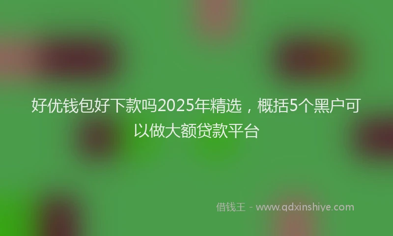 好优钱包好下款吗2025年精选，概括5个黑户可以做大额贷款平台