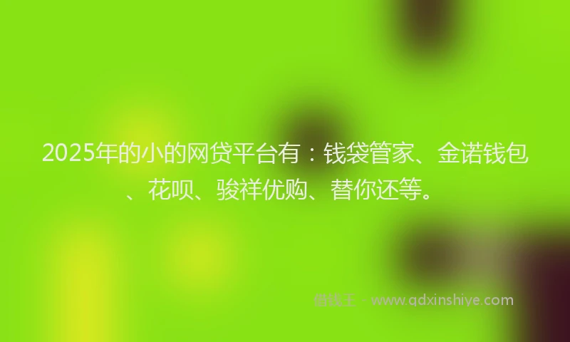 2025年的小的网贷平台有:钱袋管家、金诺钱包、花呗、骏祥优购、替你还等。