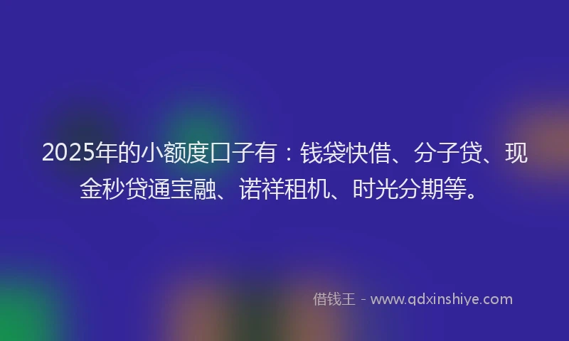 2025年的小额度口子有：钱袋快借、分子贷、现金秒贷通宝融、诺祥租机、时光分期等。