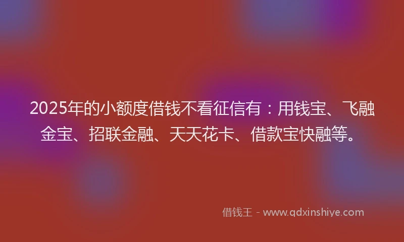 2025年的小额度借钱不看征信有：用钱宝、飞融金宝、招联金融、天天花卡、借款宝快融等。