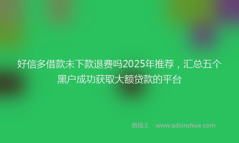 好信多借款未下款退费吗2025年推荐，汇总五个黑户成功获取大额贷款的平台