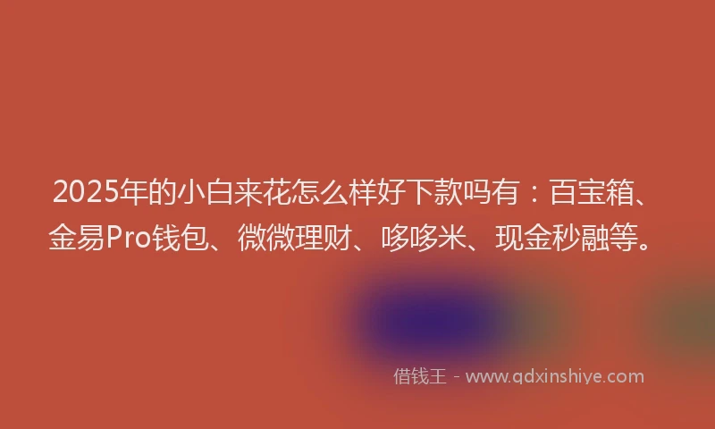 2025年的小白来花怎么样好下款吗有：百宝箱、金易Pro钱包、微微理财、哆哆米、现金秒融等。