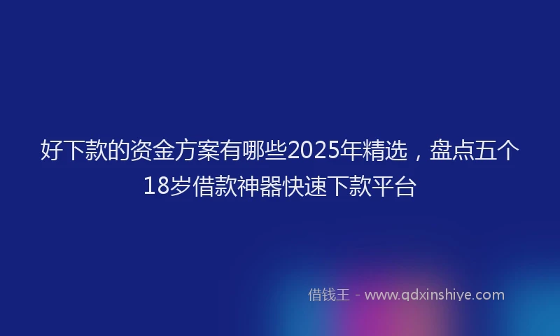 好下款的资金方案有哪些2025年精选，盘点五个18岁借款神器快速下款平台