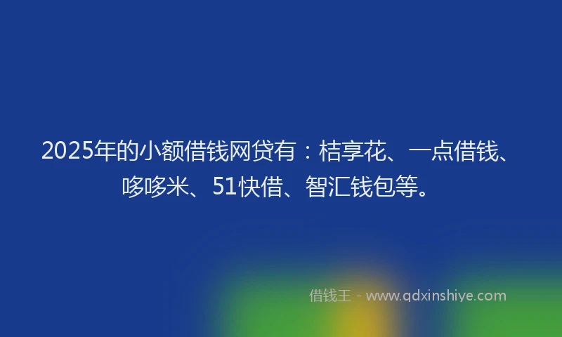 2025年的小额借钱网贷有：桔享花、一点借钱、哆哆米、51快借、智汇钱包等。