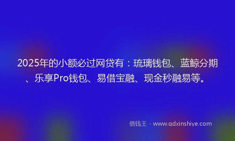 2025年的小额必过网贷有：琉璃钱包、蓝鲸分期、乐享Pro钱包、易借宝融、现金秒融易等。