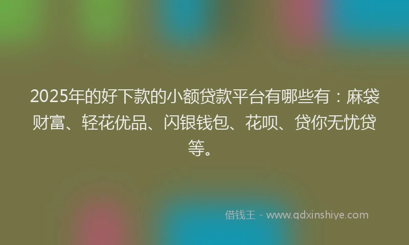 2025年的好下款的小额贷款平台有哪些有：麻袋财富、轻花优品、闪银钱包、花呗、贷你无忧贷等。