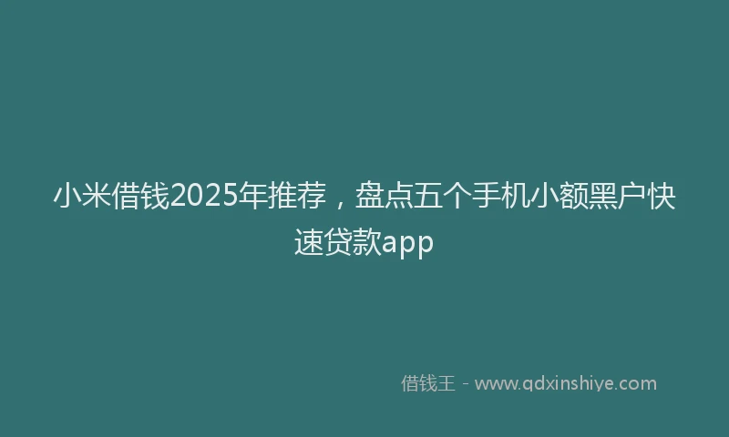 小米借钱2025年推荐，盘点五个手机小额黑户快速贷款app