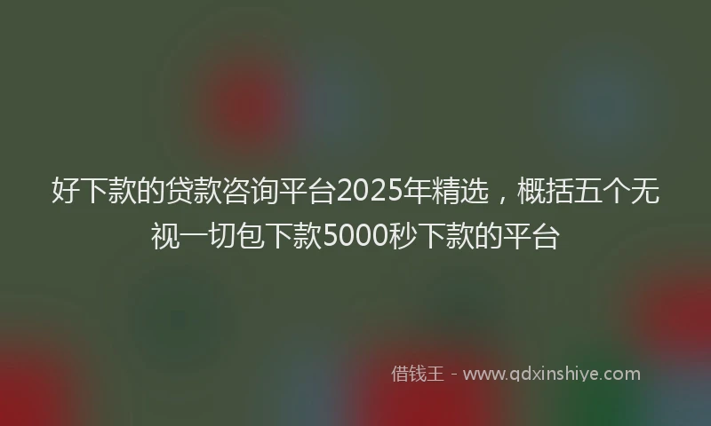 好下款的贷款咨询平台2025年精选，概括五个无视一切包下款5000秒下款的平台