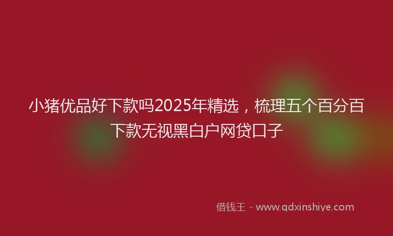 小猪优品好下款吗2025年精选，梳理五个百分百下款无视黑白户网贷口子