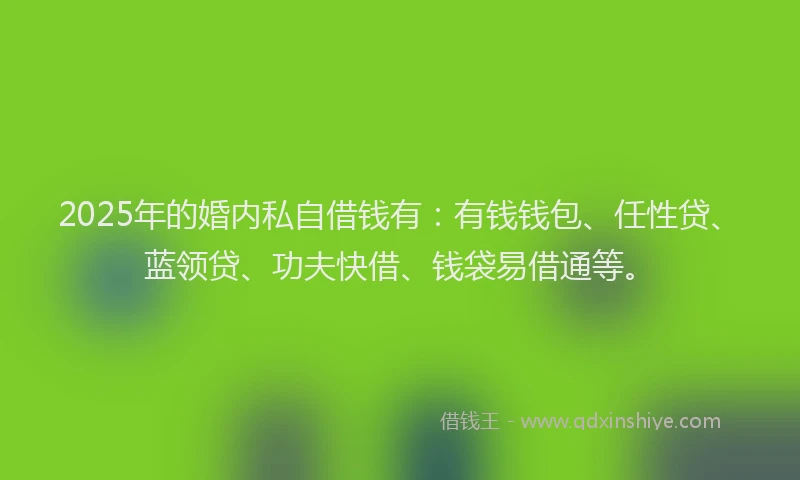 2025年的婚内私自借钱有：有钱钱包、任性贷、蓝领贷、功夫快借、钱袋易借通等。
