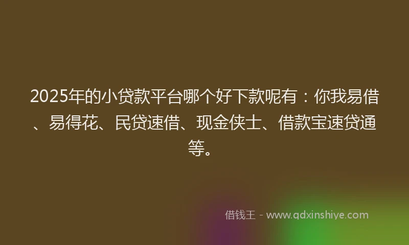 2025年的小贷款平台哪个好下款呢有：你我易借、易得花、民贷速借、现金侠士、借款宝速贷通等。
