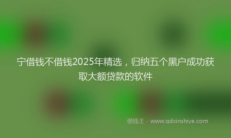 宁借钱不借钱2025年精选，归纳五个黑户成功获取大额贷款的软件