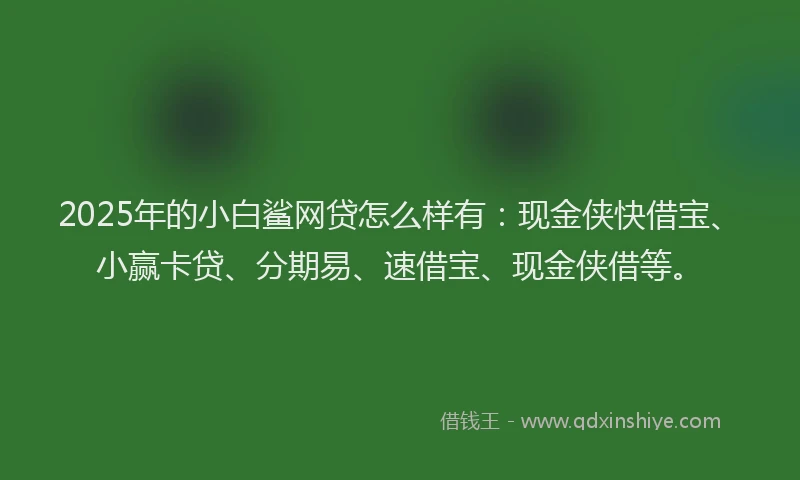 2025年的小白鲨网贷怎么样有：现金侠快借宝、小赢卡贷、分期易、速借宝、现金侠借等。