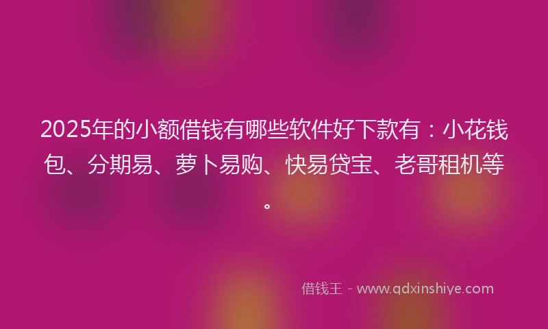 2025年的小额借钱有哪些软件好下款有：小花钱包、分期易、萝卜易购、快易贷宝、老哥租机等。