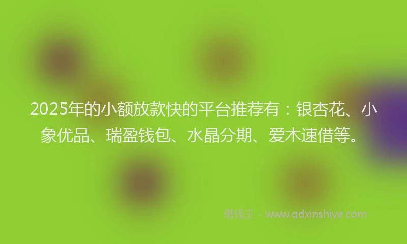 2025年的小额放款快的平台推荐有：银杏花、小象优品、瑞盈钱包、水晶分期、爱木速借等。
